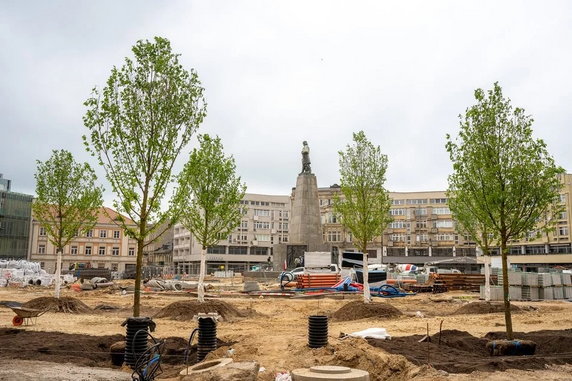 Zamiast małych sadzonek są duże drzewa. Tak zmienia się plac Wolności w Łodzi