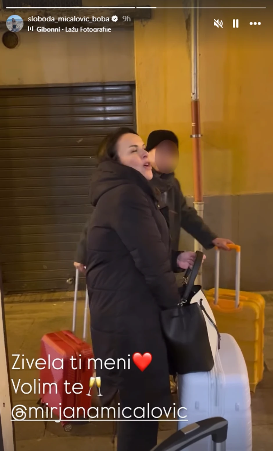 Sloboda Mićalović, Mirjana Mićalović