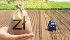 Eksport towarów rolno–spożywczych z Polski. Od początku roku wartość polskiego eksportu sięgnęła 48,5 mld euro