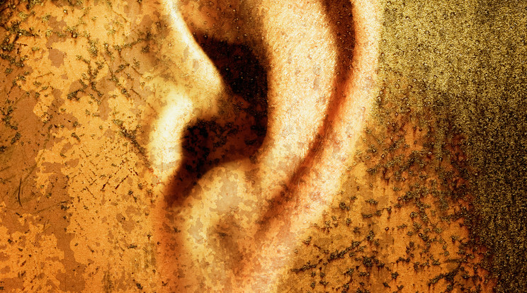 A szomszéd füle bánta /Illusztráció: Northfoto