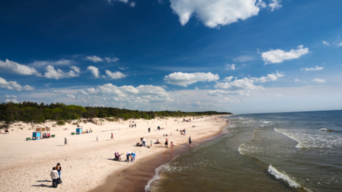 Morze to nie tylko plaże i wypoczynek. To również skomplikowany ekosystem będący miejscem życia wielu roślin i zwierząt. W niedzielę obchodzimy Europejski Dzień Morza. Ekolodzy z WWF Polska przypominają, że Bałtyk jest jednym z najmniejszych i najbardziej wrażliwych mórz na świecie, a występujące w nim gatunki potrzebują naszej pomocy.