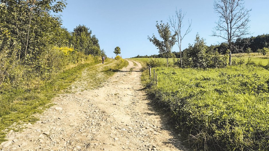 Początkowy fragment szlaku na Skopiec