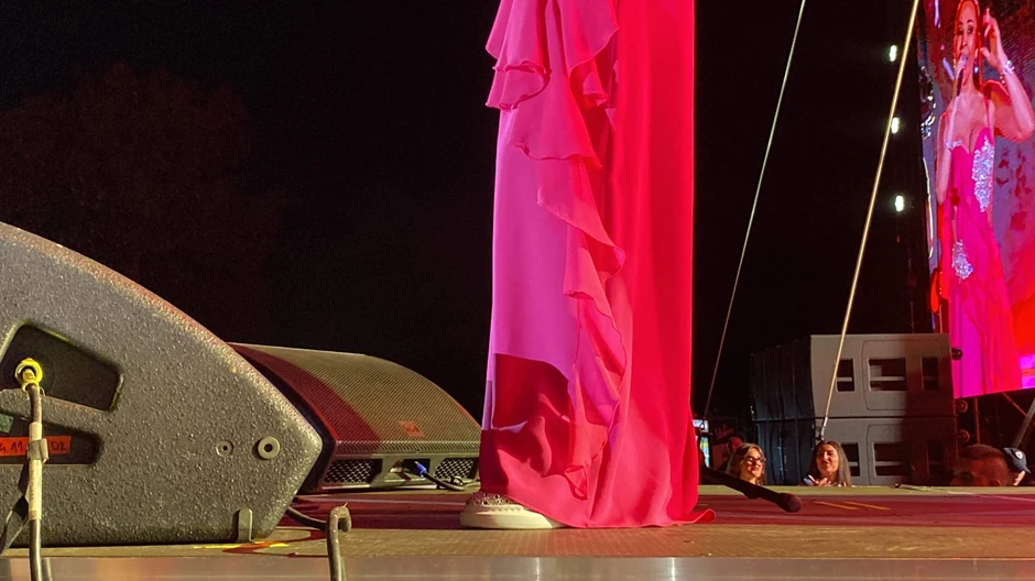 Ceca Ražnatović koncert u Nišu