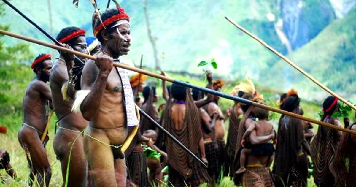 [Obrazek: papuasi.jpg]