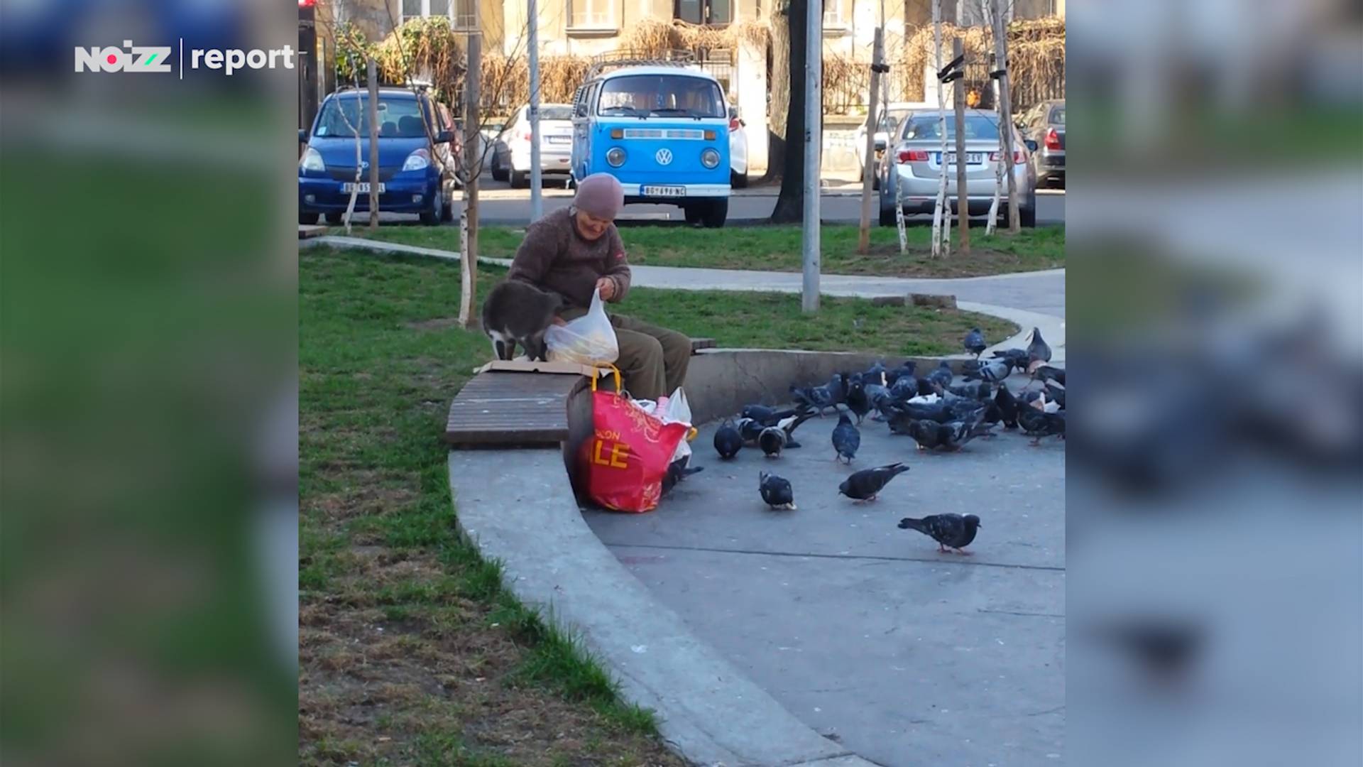 Starica sa jatom golubova je dobra vila Dorćola