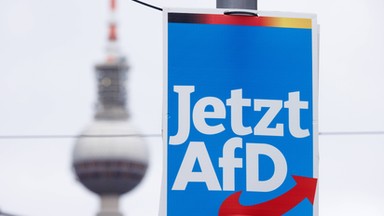 Tajne spotkanie polityków AfD. "Plan masowych deportacji"