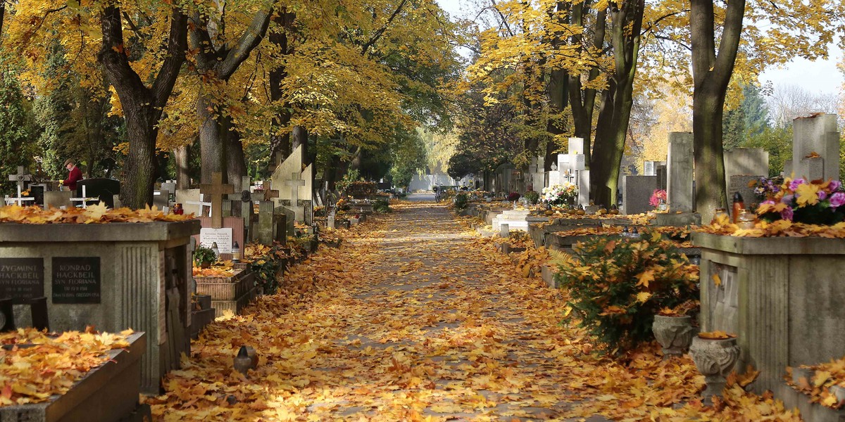 Krakowianie idą na cmentarze