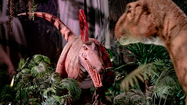 Jurassic Adventure, czyli dinozaury w Polsce! Niezwykła wystawa w Muzeum Nowa Praga