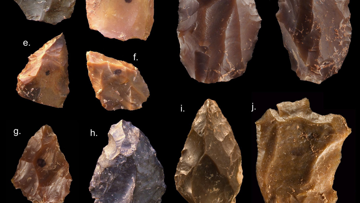 MOROCCO FOSSILS HOMO SAPIENS (Oldest fossils of Homo Sapiens found at Jebel Irhoud in Morocco)