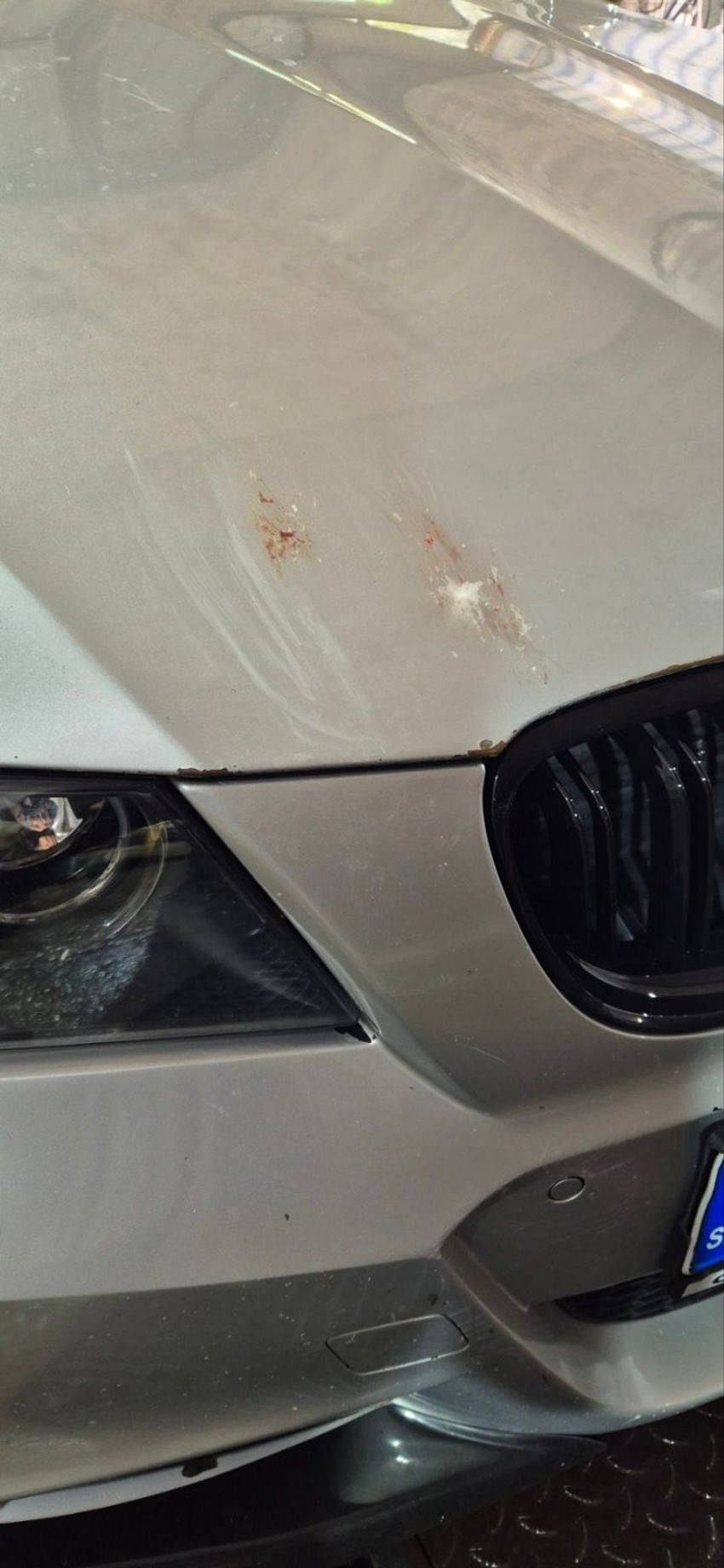 Tragovi udarca divlje patke na Obrenovačkom putu