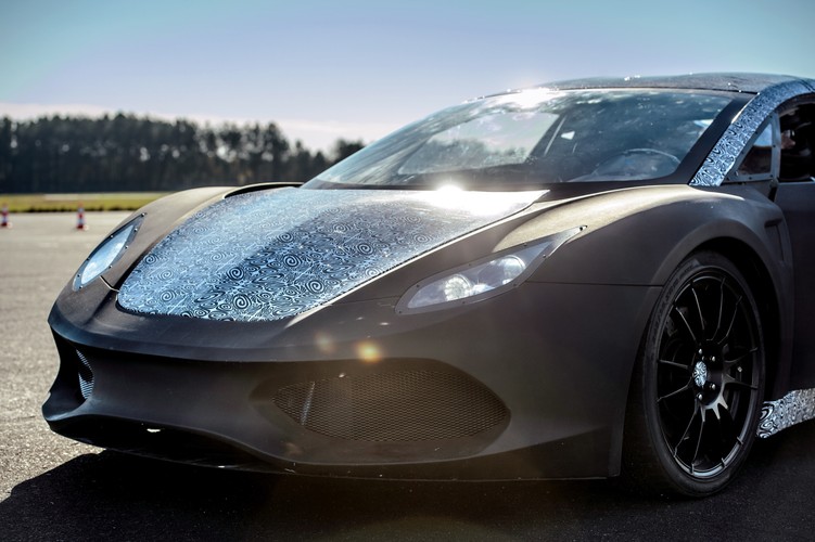 Arrinera hussarya