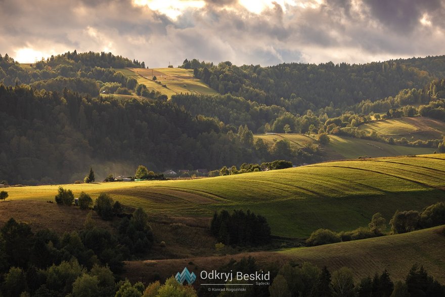 Wzgórza w Złockiem nad cerkwią © Konrad Rogoziński