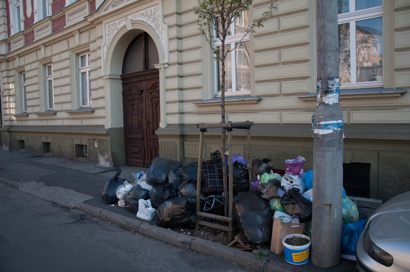 Bydgoszcz tonie w śmieciach. Mieszkańcy mają problem