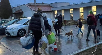 Ogromny sukces akcji krakowskiego schroniska. Aż kilkadziesiąt psów znalazło dom na stałe