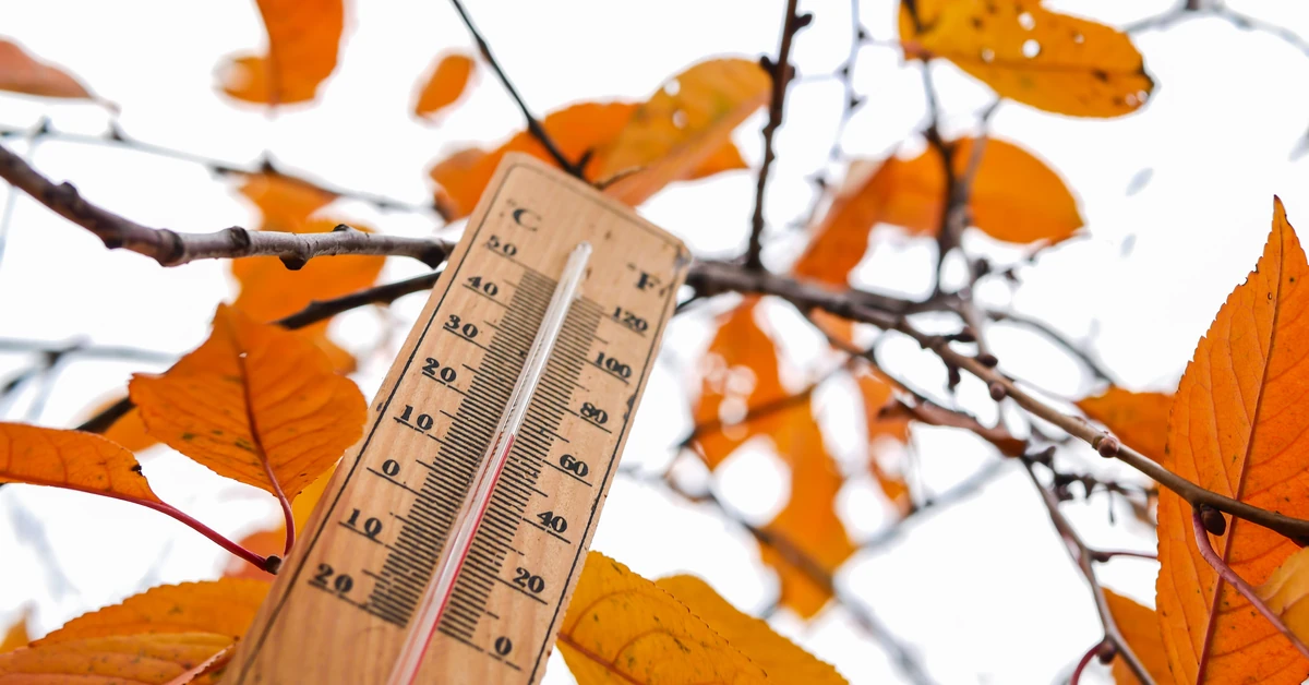 Niż znad Atlantyku wkroczył do Polski. Prognoza pogody na wtorek, 4 listopada