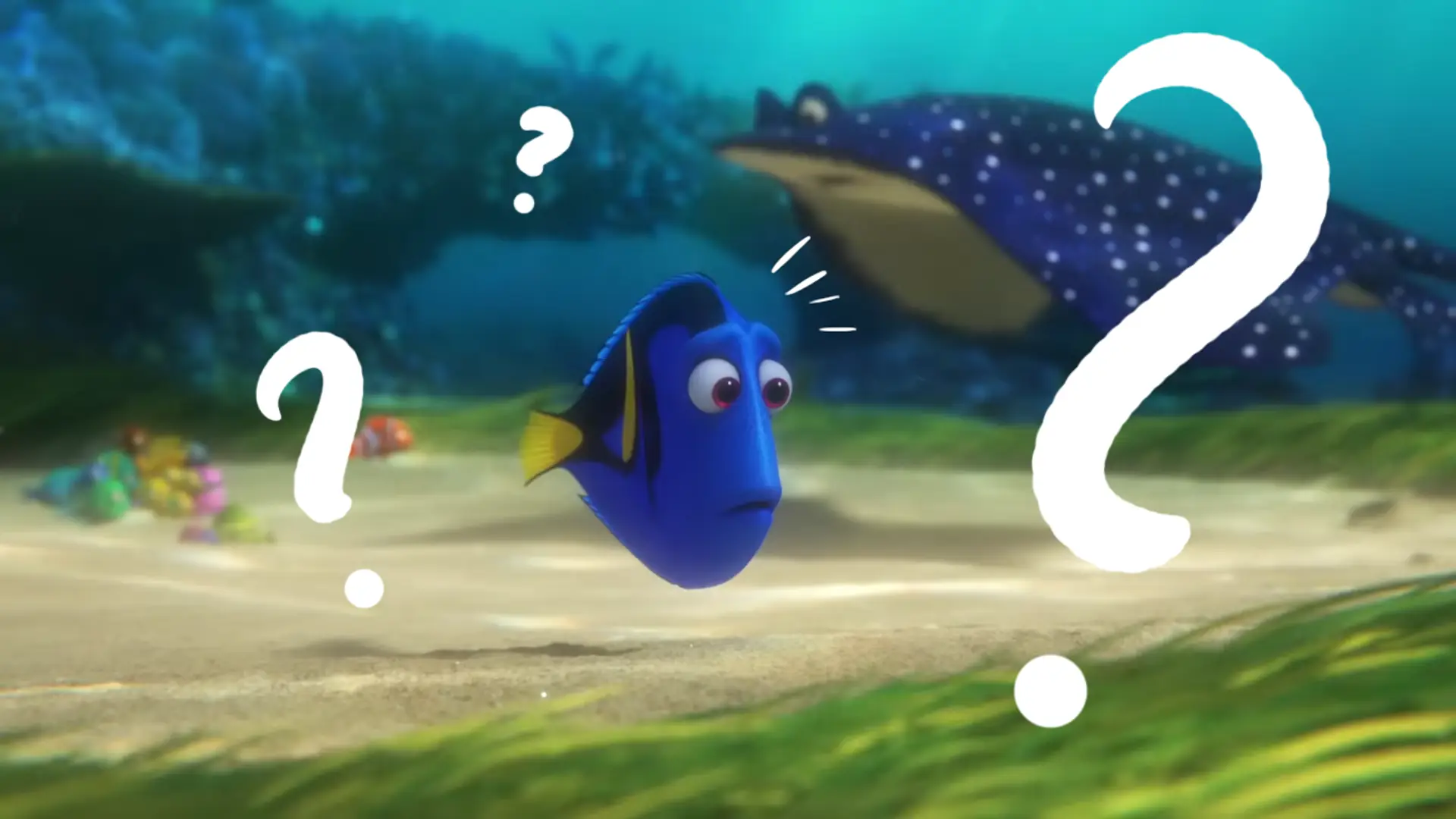 Te wiadomości w "Gdzie jest Dory?" umykają nawet spostrzegawczym. Zobacz, co Pixar ukrył w bajce