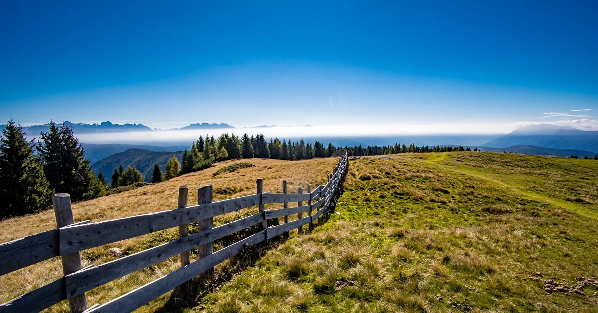 Chcesz podzielić działkę? Sprawdź, jak to zrobić z i bez planu zagospodarowania przestrzennego