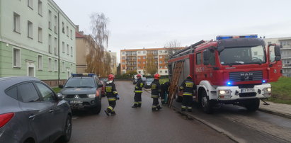 Pies wołał o pomoc przez kilka dni. Jego właściciel był martwy