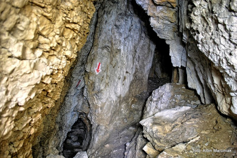 Jaskinia Mylna, Tatry