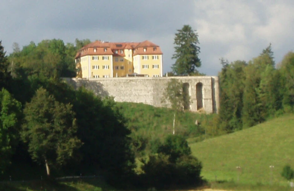 Ustanova za eutanaziju "Dvorac Grafenek"