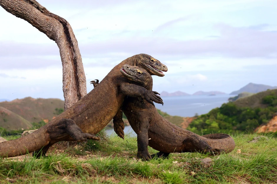 Trenutak predaha deluje kao zagrljaj