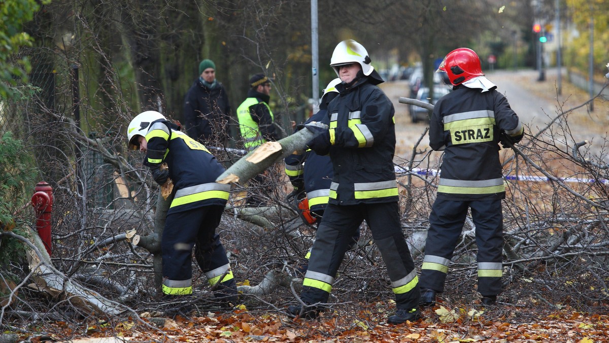 Do południa w całej Polsce straż pożarna interweniowała prawie 800 razy w związku z usuwaniem skutków wichur, które przechodzą nad Polską - powiedział rzecznik komendanta głównego PSP Paweł Frątczak. Wskutek wichur jedna osoba zginęła, a dwie zostały ranne. Straż pożarna ostrzega przed silnymi wiatrami.