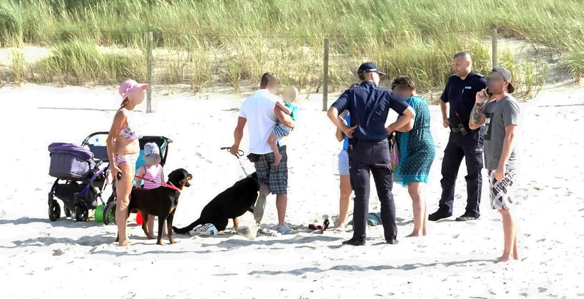 Mrożące krew w żyłach sceny na plaży. Rottweiler pogryzł chłopca, a właścicielka psa zaatakowała rodzinę dziecka i policjanta