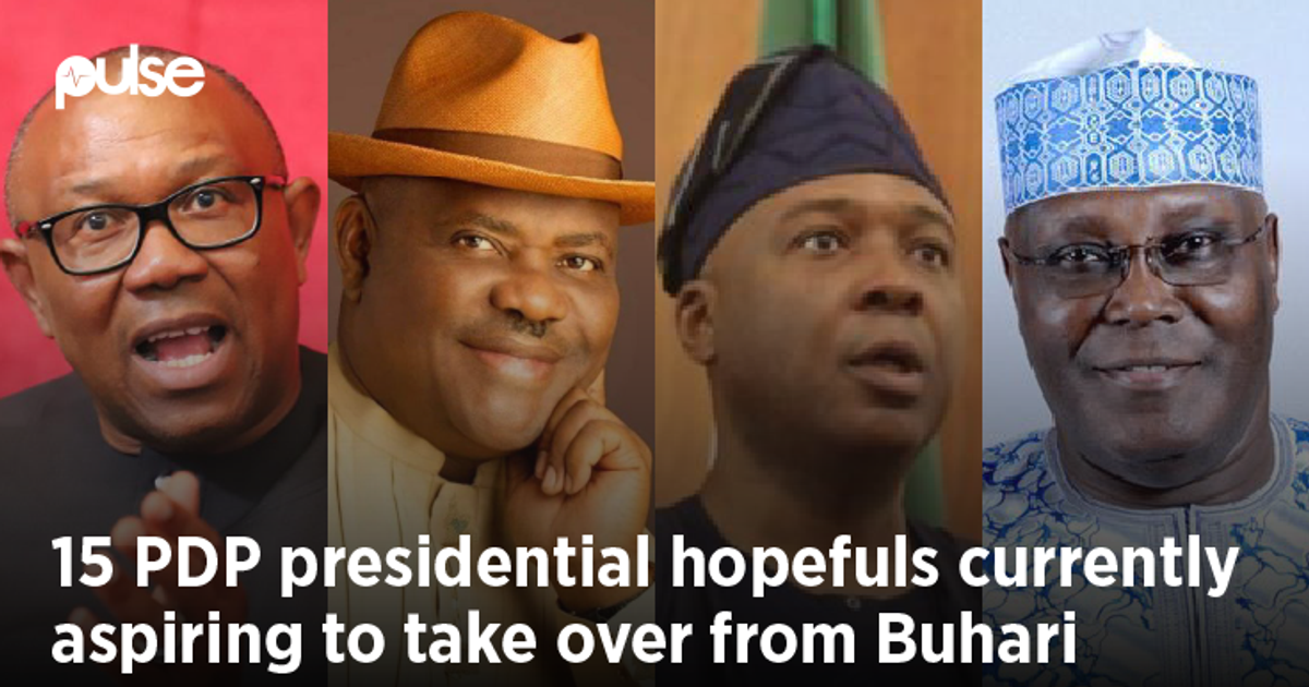 The 15 PDP presidential aspirants currently hoping to take over from Buhari - Vimarsana News