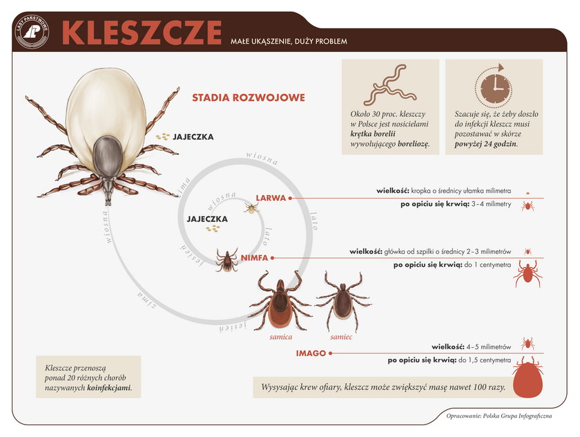 Kleszcze już atakują? Gdzie jest ich najwięcej?