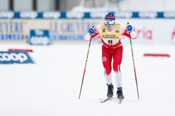 Mistrz olimpijski w biegach narciarskich pogryziony przez psy