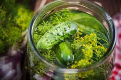 Dodaj do wody i namocz w tym ogórki. Po ukiszeniu będą twarde i chrupiące