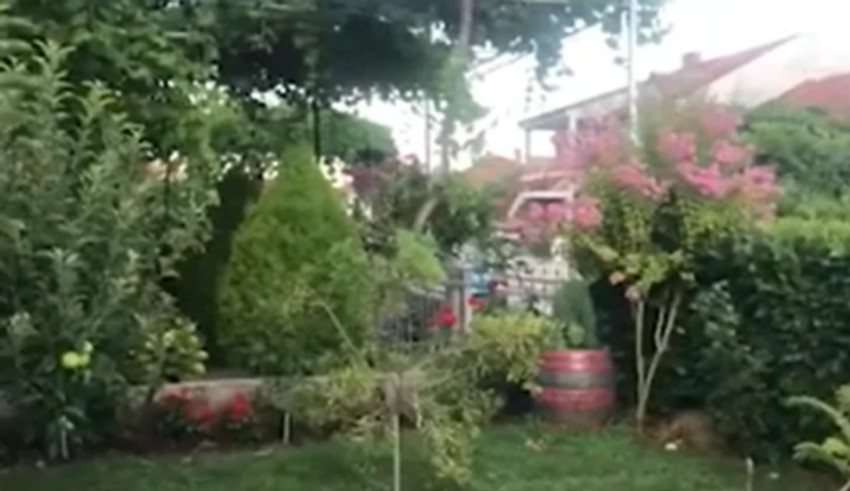 Imanje Nataše Ninković