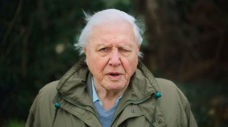 Sokkoló természetfilmmel jelentkezett David Attenborough, mely a Föld pusztulásával foglalkozik / Fotó: Netflix