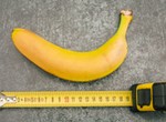 Ladies according to doctors, big size penis may be doing you more harm