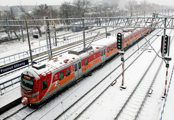 Polacy pokochali kolej. Najwięcej pasażerów od lat dziewięćdziesiątych