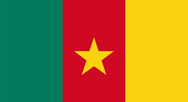 Flag Cameroon