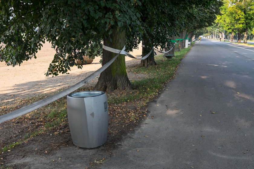 Na ŚDM z Błoń zniknęły kosze na śmieci 