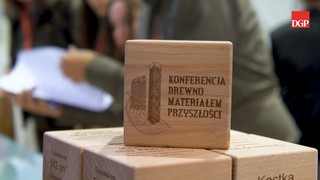 Polskie drewno może wesprzeć gospodarkę i pomóc klimatowi