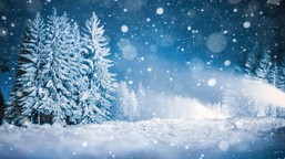 Quiz dla bystrych. Jak dobrze znasz przysłowia o zimie? Usunęliśmy z nich jedno słowo