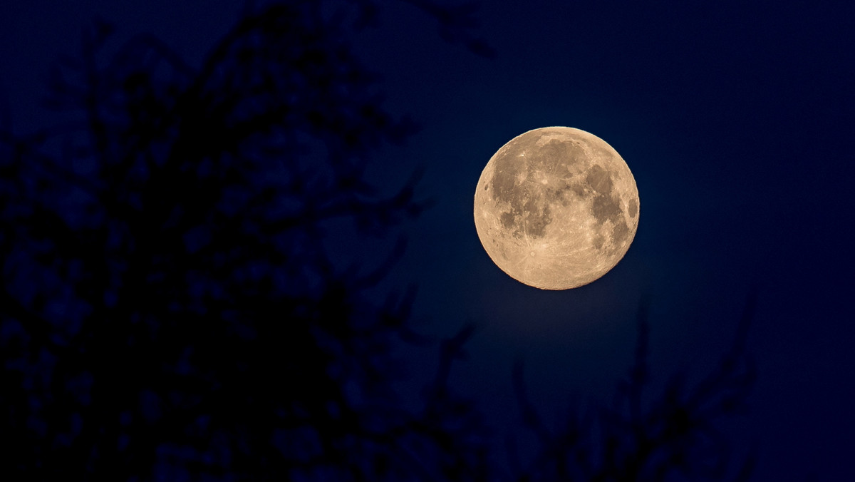 Wilczy Księżyc pojawi się na niebie. Kiedy styczniowa pełnia?
