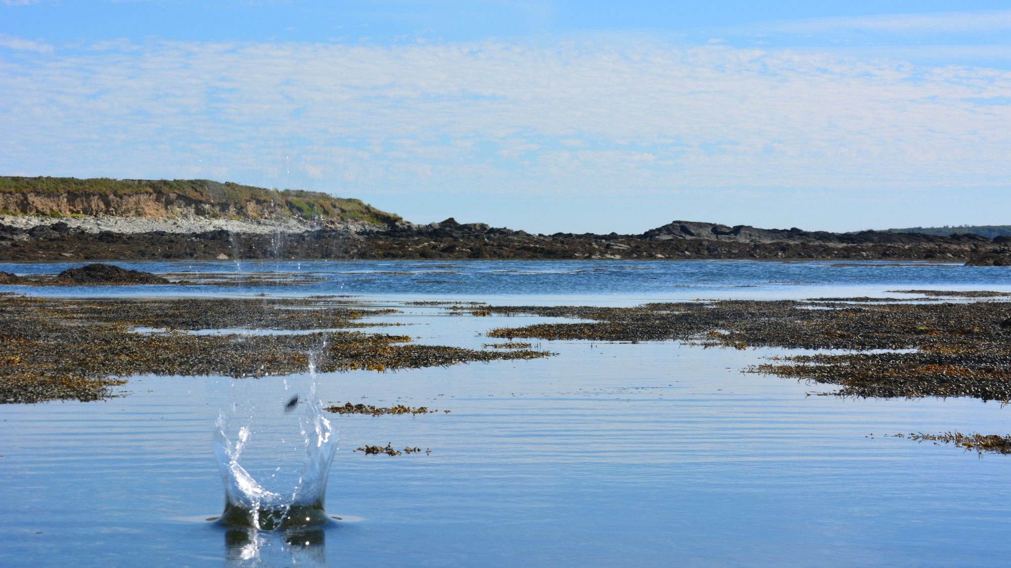 Waleské pobrežie odhalilo fascinujúci nález, s ktorým nikto nepočítal.