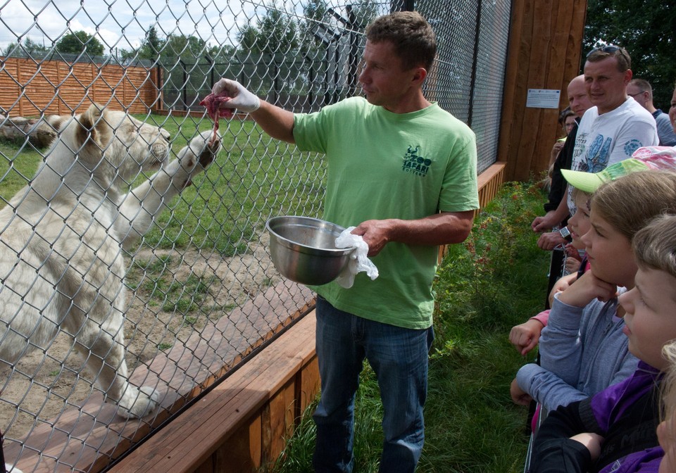 Pięciolecie Zoo Safari