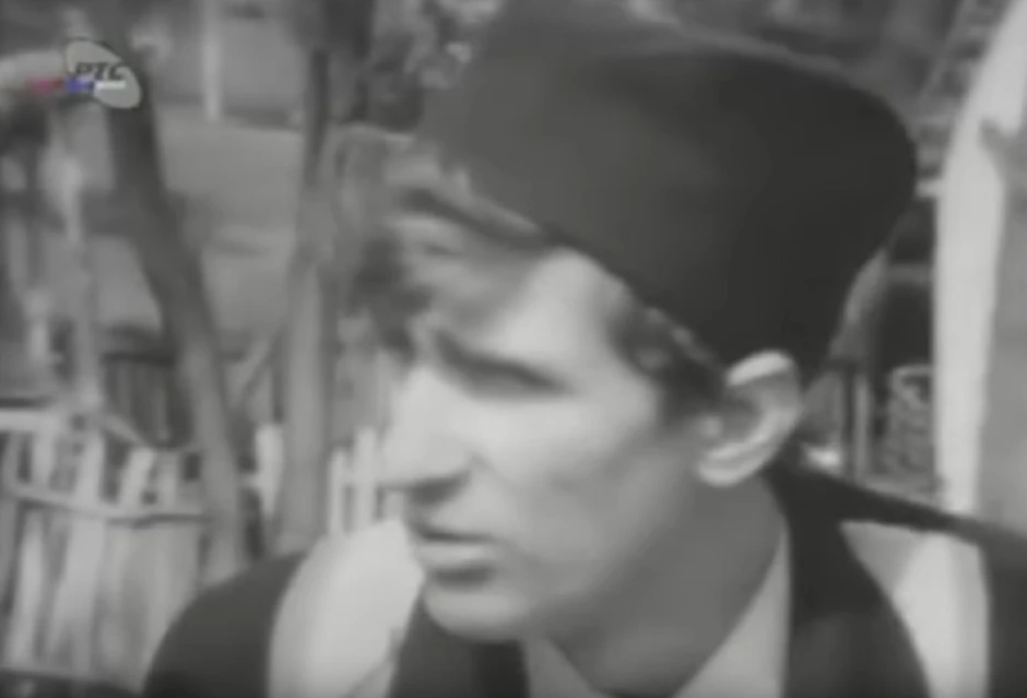 Dragan Zarić u seriji "Ljubav na seoski način"