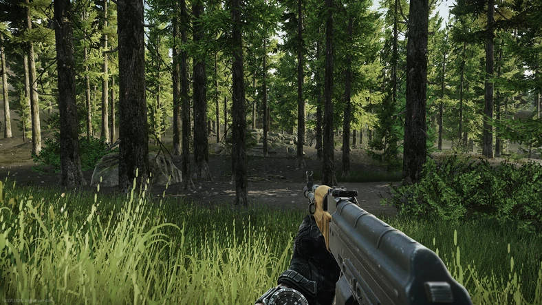 Escape from Tarkov