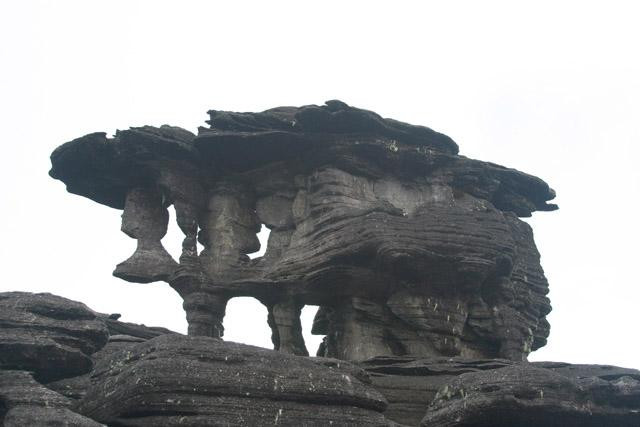 Galeria Wenezuela - Gran Sabana i Roraima, obrazek 8