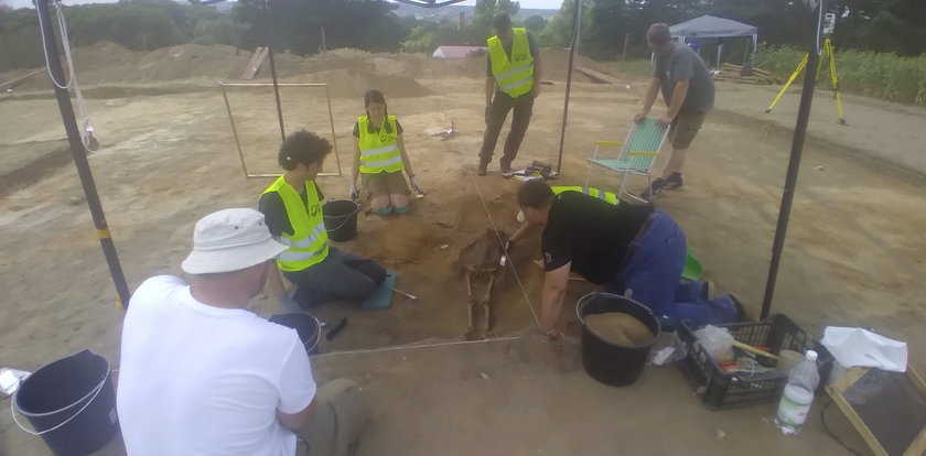 Archeolodzy mówią "Faktowi" o szokującym odkryciu pod Bydgoszczą: odkopaliśmy dziecko z kłódką