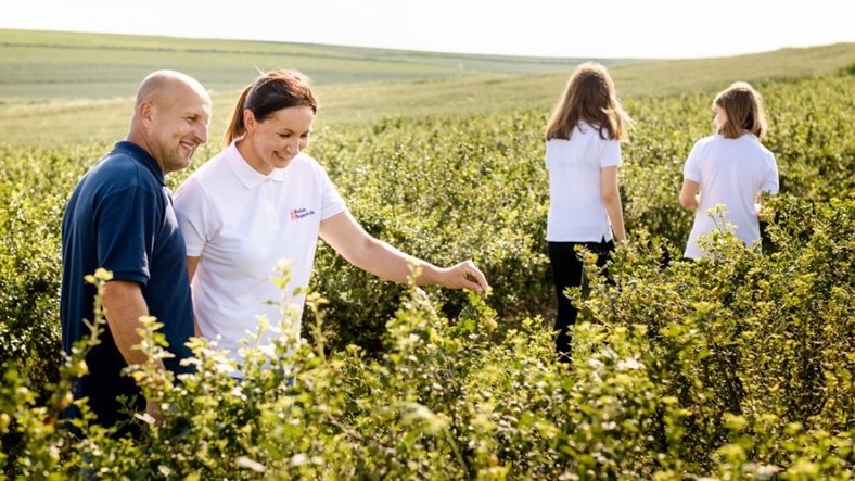 Krajowy Związek Grup Producentów Owoców i Warzyw 