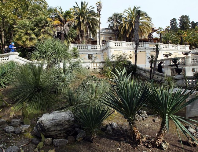 Soczi ze swym subtropikalnym klimatem jest unikalnym przyrodniczo miejscem