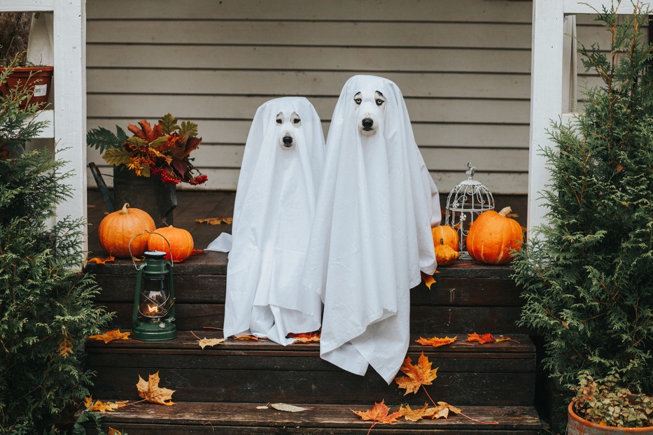 A legjobb ünnepi ötletek Halloweenre