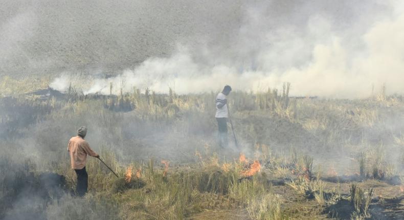 Each winter the post-harvest burning of crop stubble covers swaths of the region in toxic smog